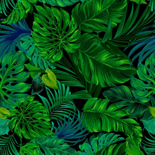 Envy Hold - Fancy Tropical Floral