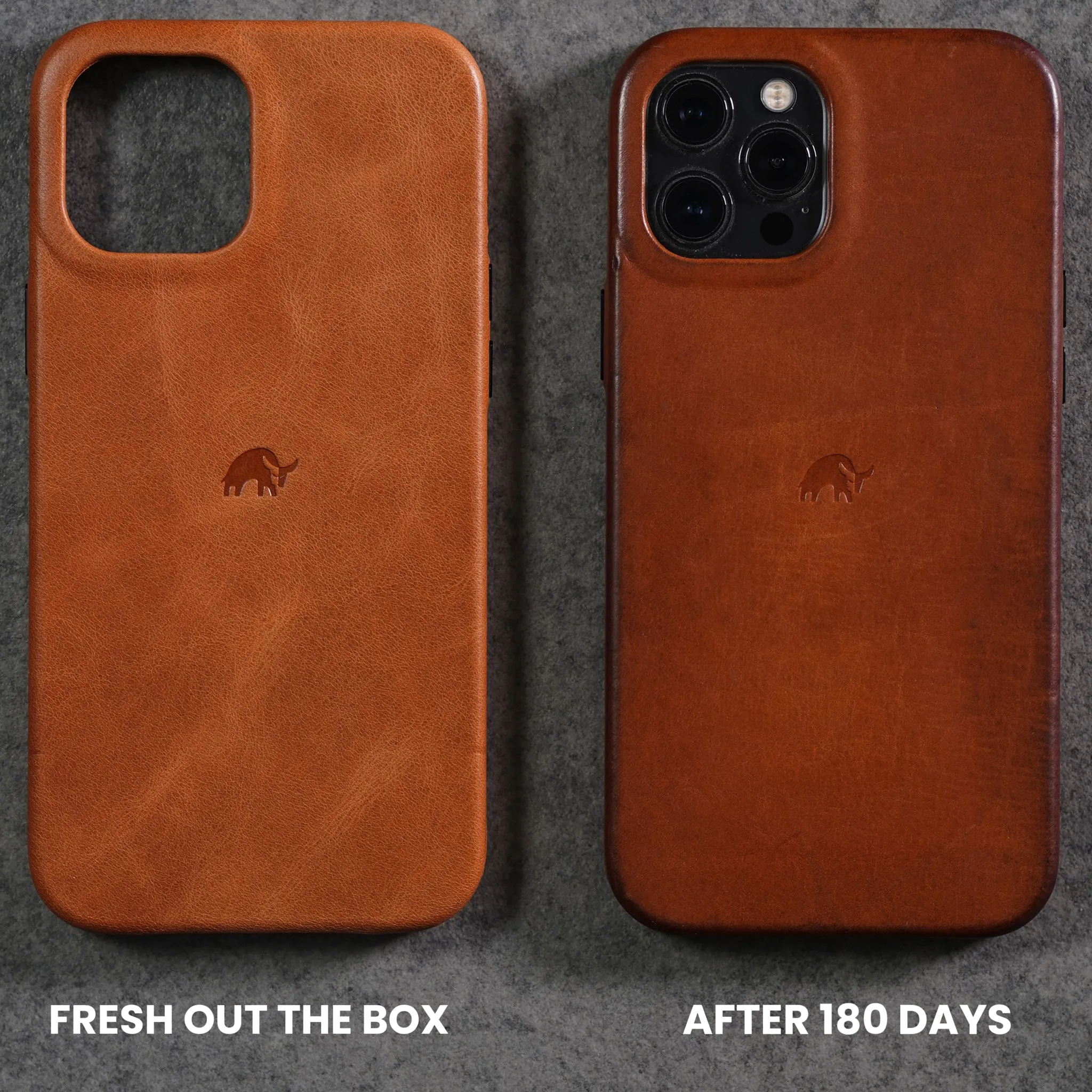 The Minimalist Case - SIENNA