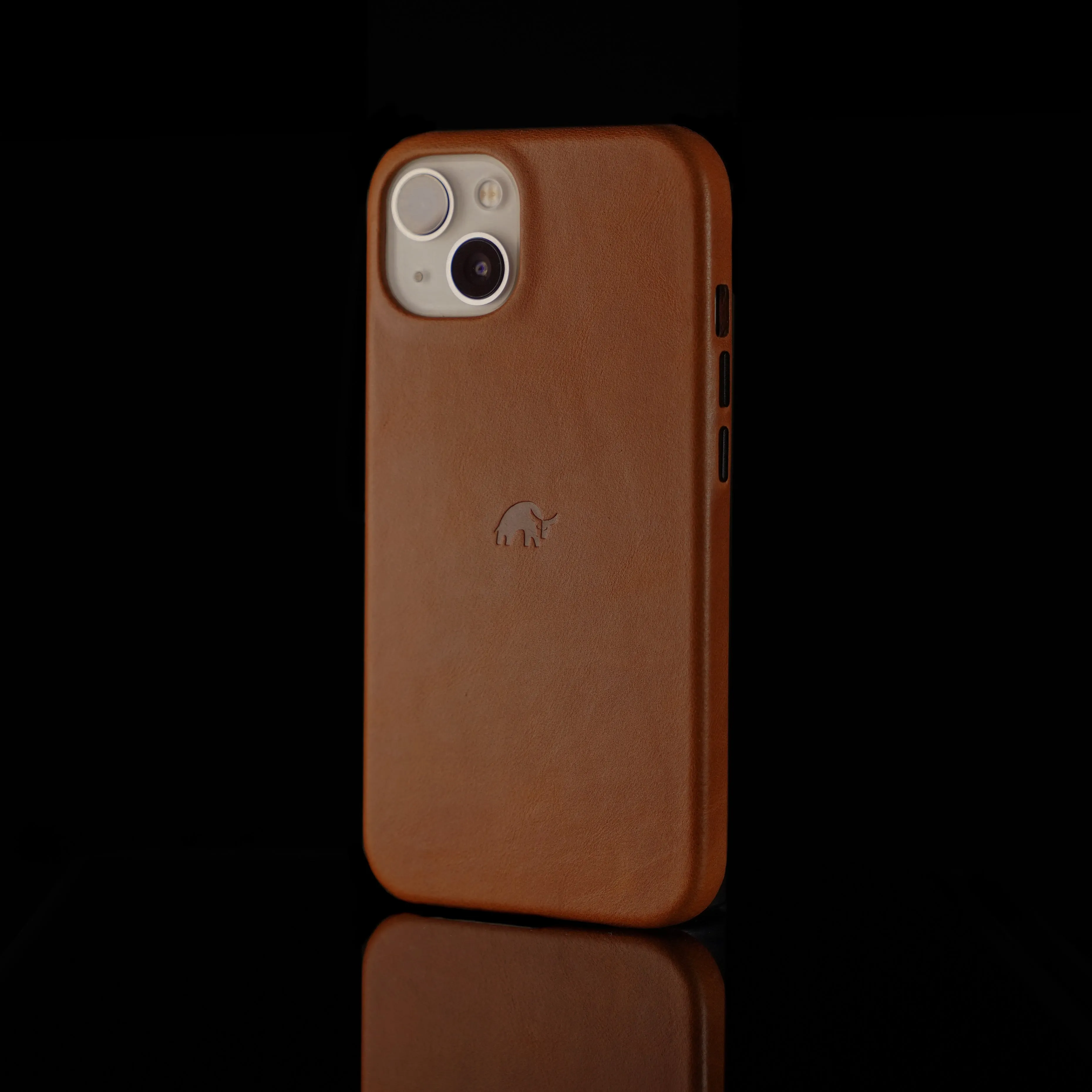 The Minimalist Case - SIENNA